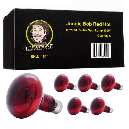 Carton of 6 Bulbs Jungle Bob 100w Red Hot Lamps:Jungle Bob's Reptile World