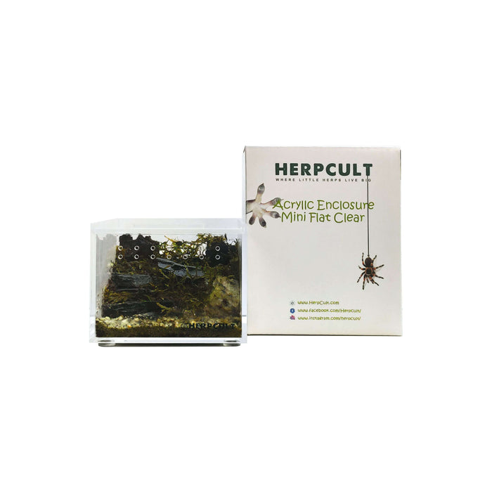 YKL08 HerpCult Acrylic Reptile Enclosure with Magnetic lid Mini Flat Clear 4"x 3" x 2.5":Jungle Bob's Reptile World