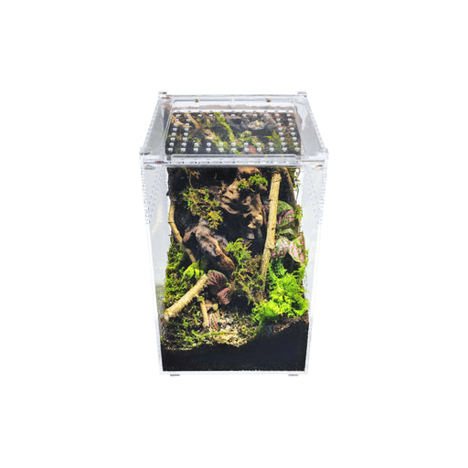 YKL18B HerpCult Acrylic Terrarium Enclosure with Magnetic Lid for Reptiles Small Tall (6" x 6" x 9.5"):Jungle Bob's Reptile World