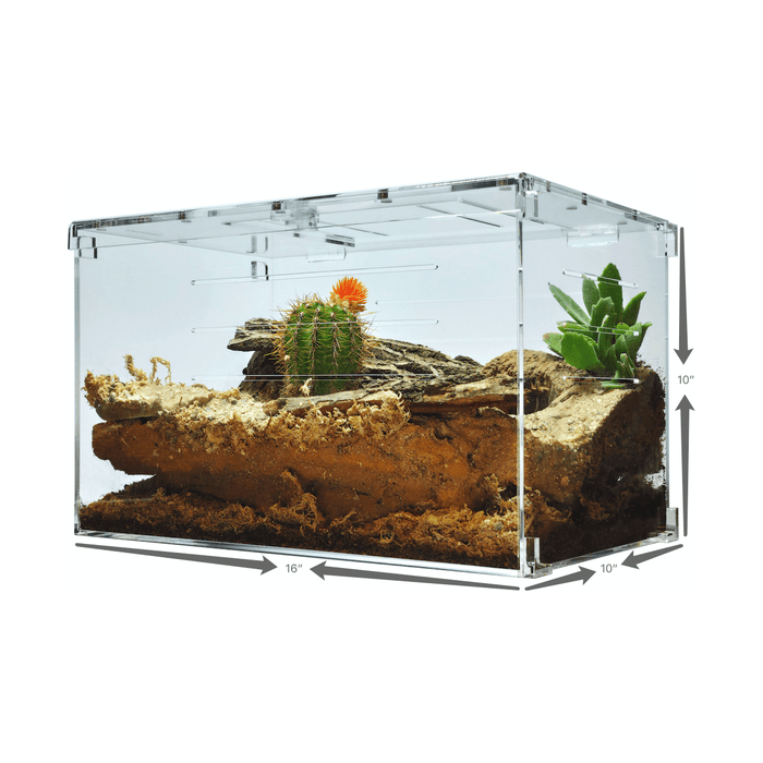 YKL80A HerpCult Acrylic Enclosure Solid Top Invertible Large 10"x10"x16" 7 Gallon - STORE PICK UP ONLY:Jungle Bob's Reptile World