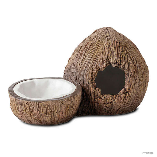 Exo Terra Coconut Hide and Water Dish:Jungle Bob's Reptile World