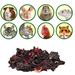 Exotic Nutrition Hibiscus Flower Treat for Small Animals:Jungle Bob's Reptile World