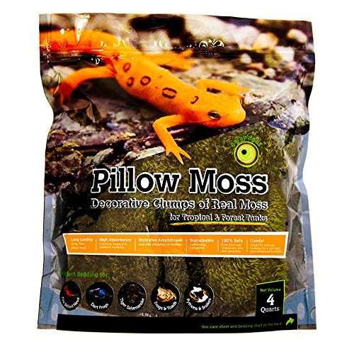 Galapagos Pillow Moss 4 qts:Jungle Bob's Reptile World