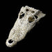 Jungle Bob Croc skull, Upper Jaw:Jungle Bob's Reptile World