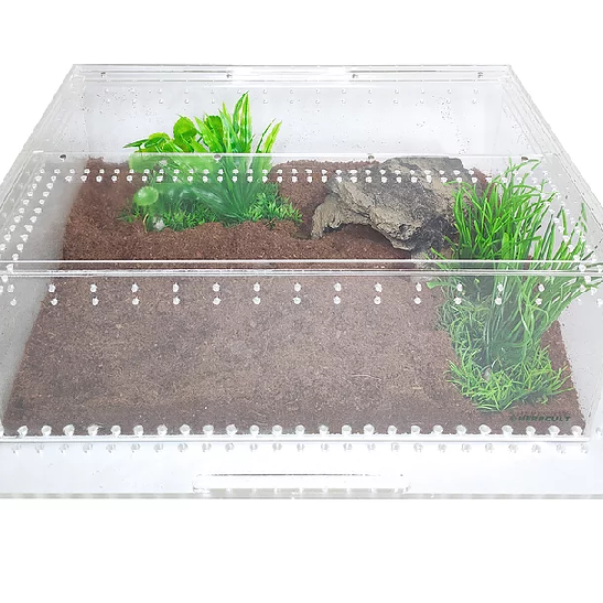 YKL 40B Acrylic Reptile Enclosure with Magnetic Lid by Herpcult Clear Top Extra Large Flat (12" x 16" x 6"):Jungle Bob's Reptile World