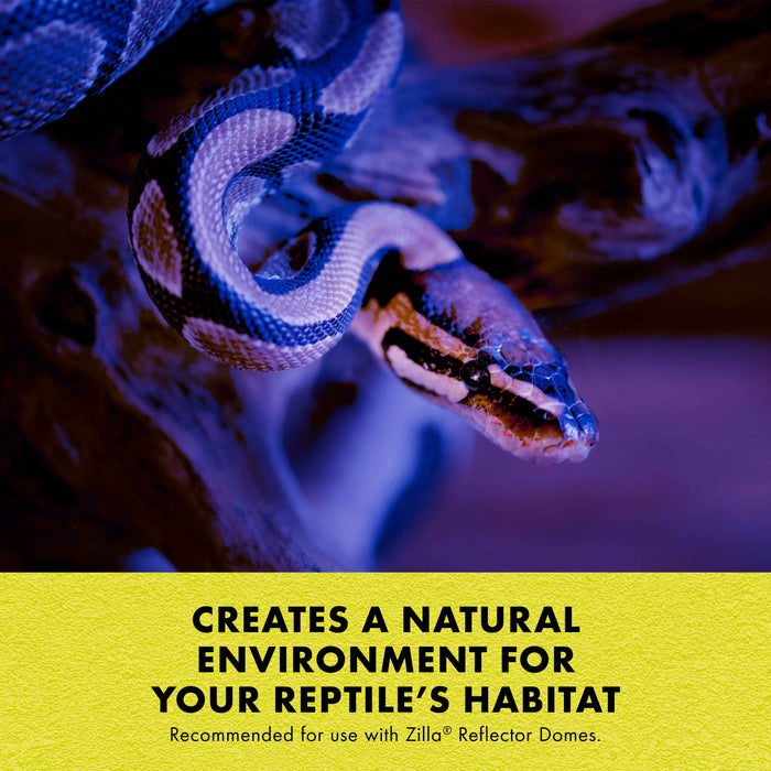 Zilla Night Black Incandescent Spot Bulb