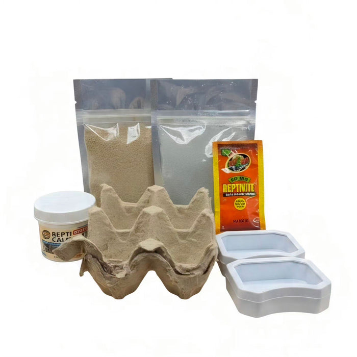 Jungle Bob Dubia Roach Keeper Kit