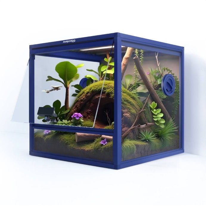 Phailozoo 24G terrarium 18x18x18 (Dart Blue) 16478