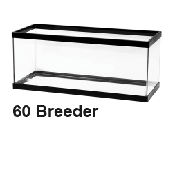 Aqueon 60 Breeder Glass Tank 48x18x16 STORE PICK UP ONLY!