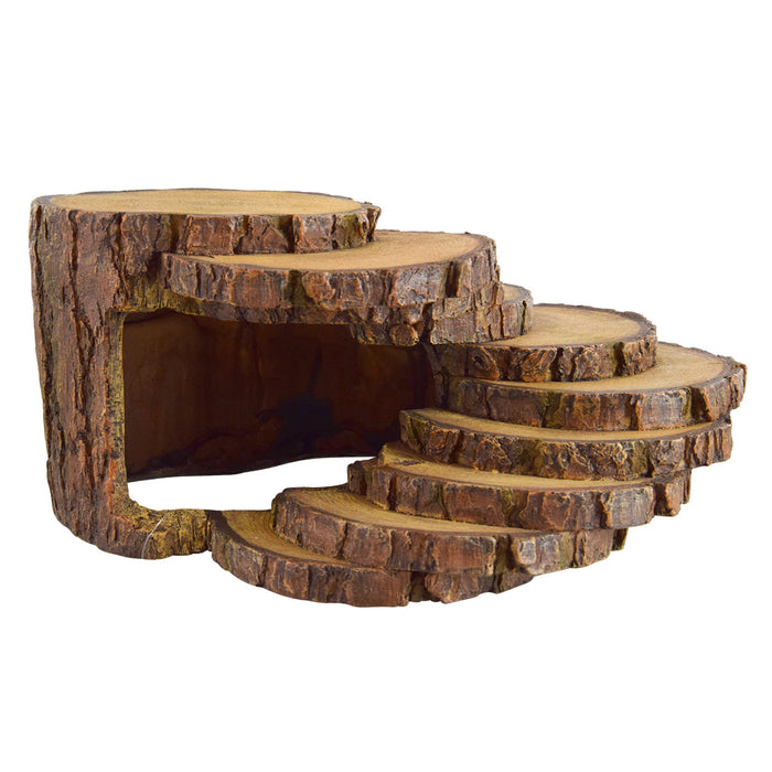 65452 Reptile Treasures Wood Slice