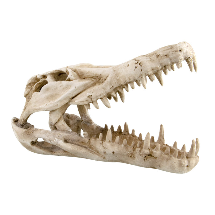76990 Dino Skull Shelter
