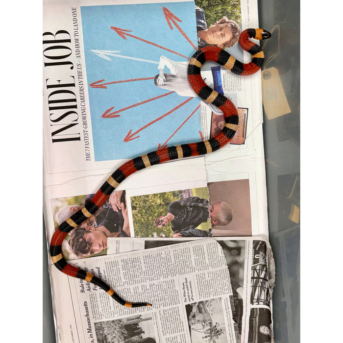 Apricot Pueblan Milk Snake