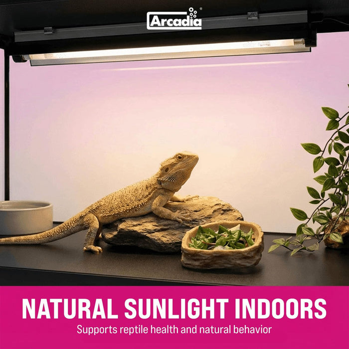 RARTP39DZ Arcadia Pro T5 Kit (14% UVB) (34" Bulb) (39w)