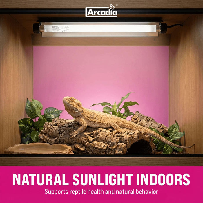 RARTP8SZ Arcadia Pro T5 Shade Dweller UVB Kit Terrestrial (7% UVB) (12.5" Bulb) (8w)