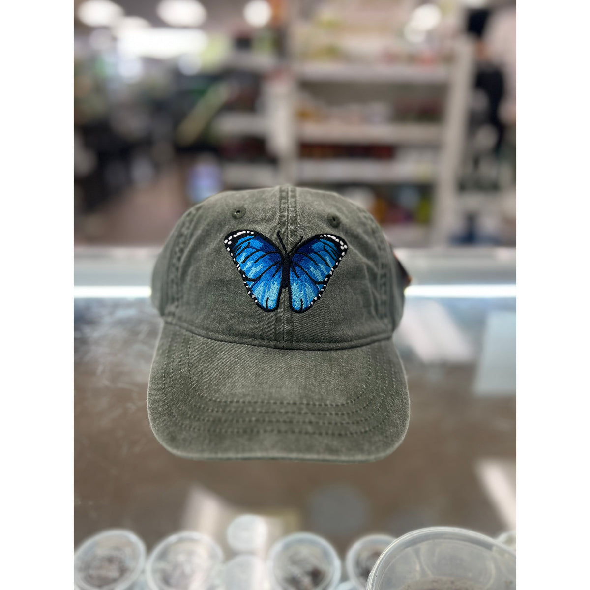 Blue Morpho Butterfly Cap — Jungle Bobs Reptile World