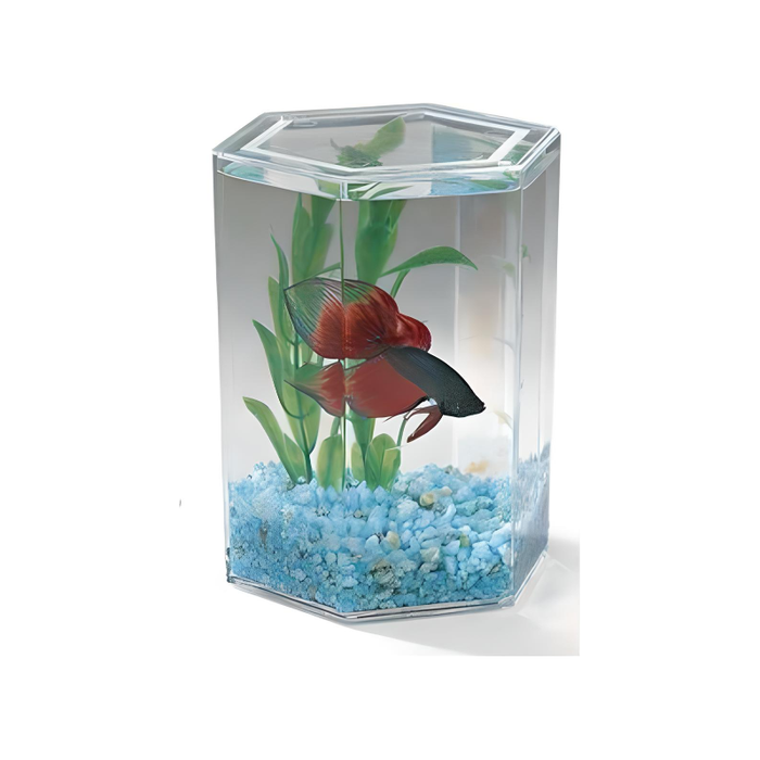 Lee s Betta Hex Mini Tank Kit Jungle Bobs Reptile World