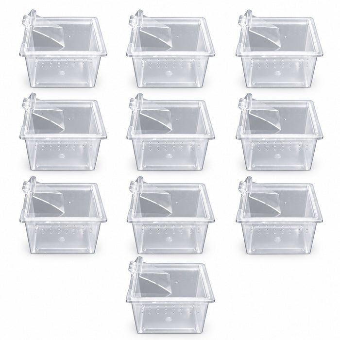 10 pack of Jungle Bob Mini Clear Plastic Box (10806)