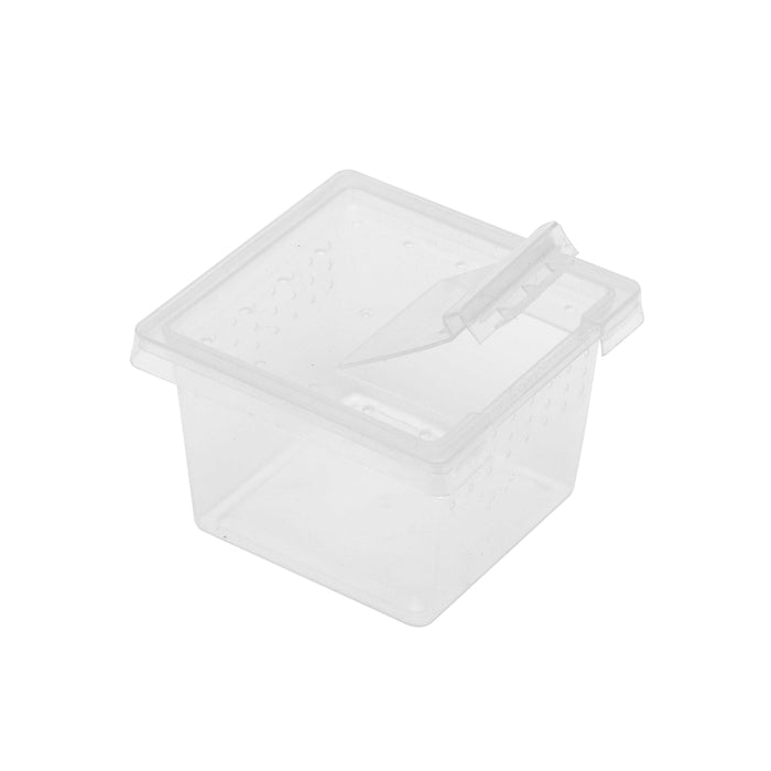 Common mistakes to avoid