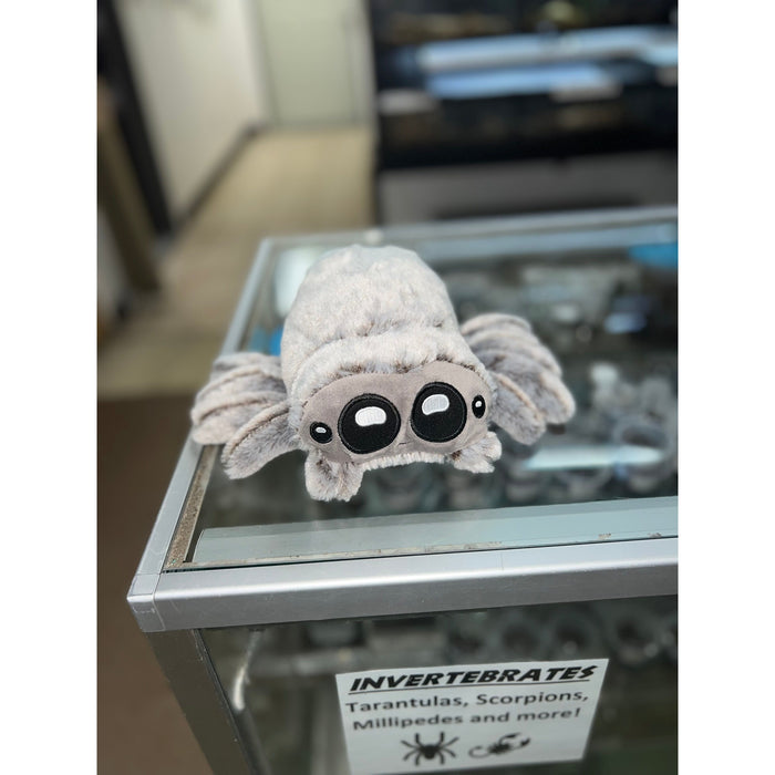 Jumping Spider Plush Toy