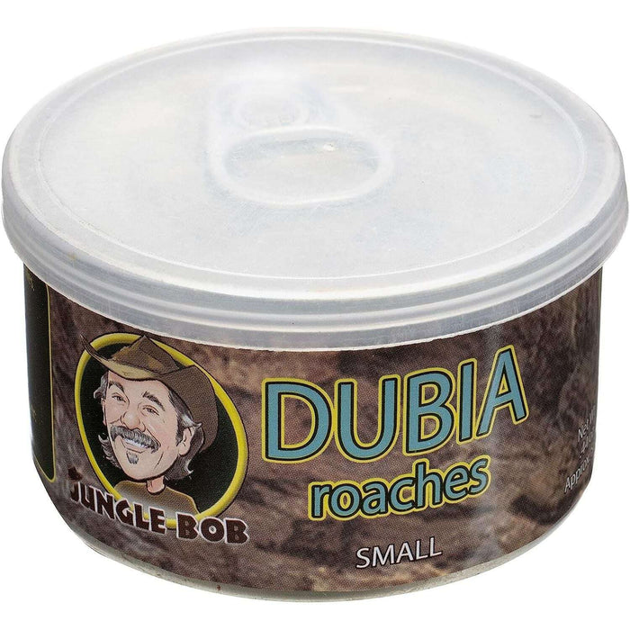 Dubia Roaches in the Can — Jungle Bobs Reptile World
