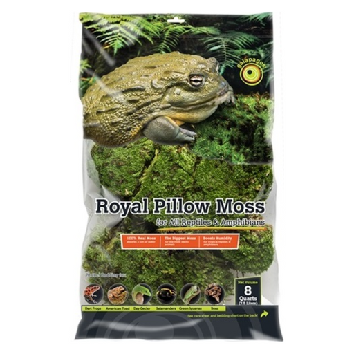 Galapagos Royal Pillow Moss 8 quart:Jungle Bob's Reptile World