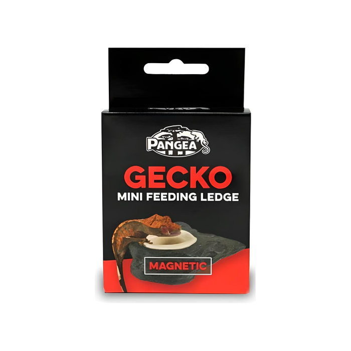 Pangea Mini Magnetic Gecko Ledge