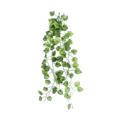 reptile hanging plants Jungle Bob Hanging Terrarium Plant 14514 — Jungle Bobs Reptile World