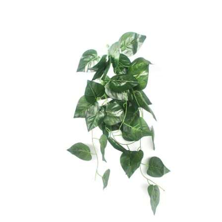 reptile hanging plants Jungle Bob Hanging Terrarium Plant 14518 — Jungle Bobs Reptile World