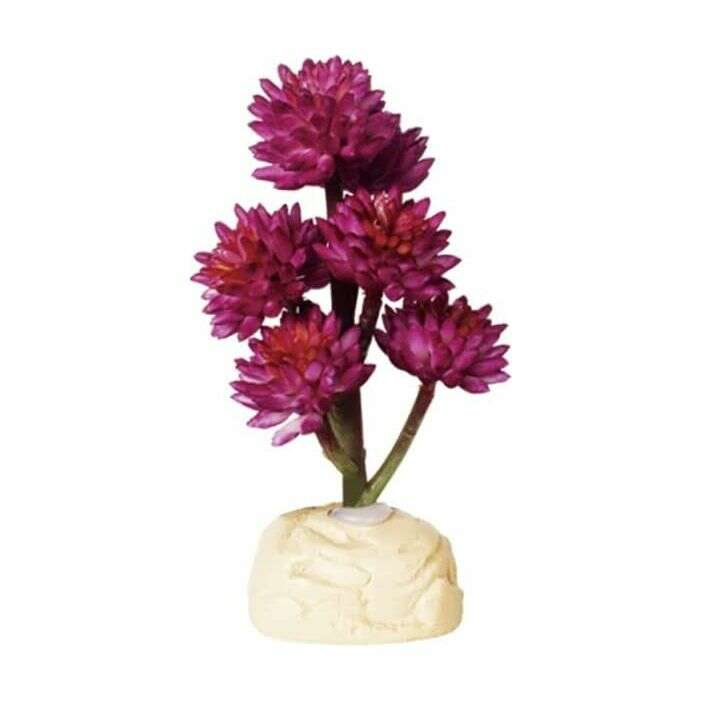 Jungle Bob Pedestal Terrarium Plant 12" 14480:Jungle Bob's Reptile World