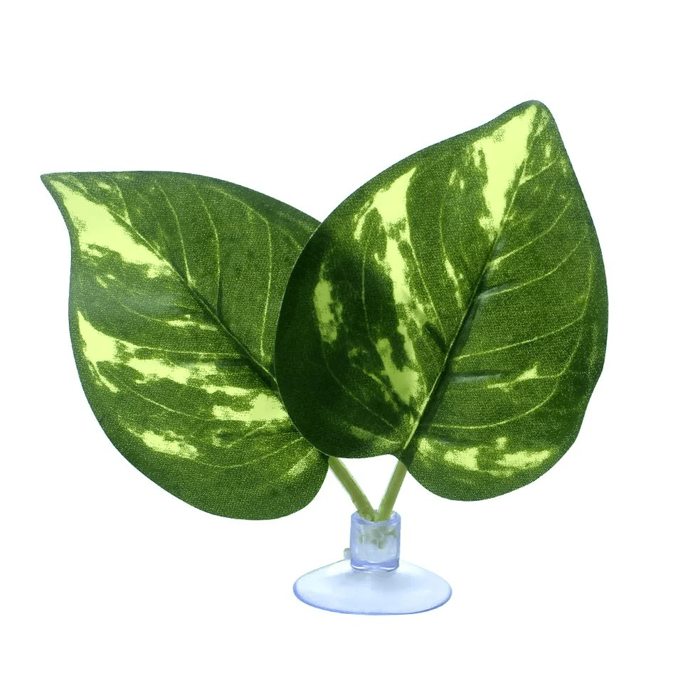 Jungle Bob Terrarium Accent Leaf 14495:Jungle Bob's Reptile World