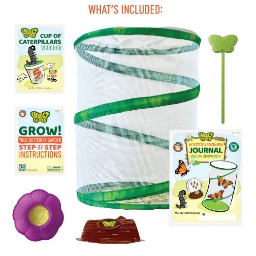 Insect Lore Butterfly Garden (With Pre-Paid Voucher)