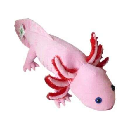 Plush Axolotl Stuffed Toy (Pink):Jungle Bob's Reptile World