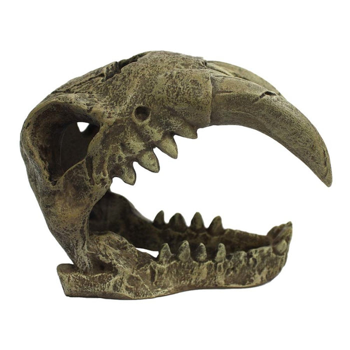 93219 Komodo Saber Tooth Decoration