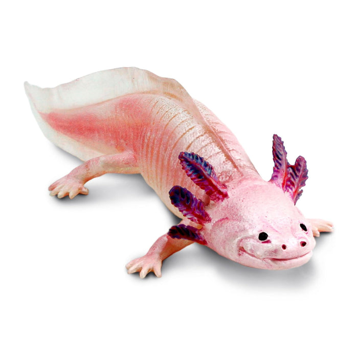 Safari Axolotl Toy Figure