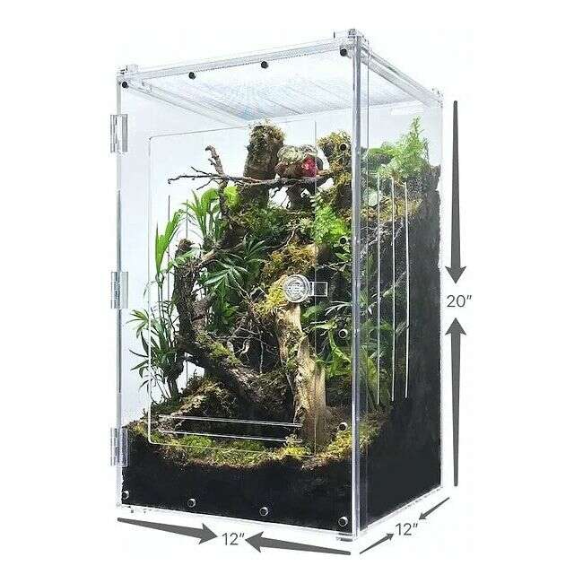 YKL100B-2 Acrylic Enclosure Front and Top Opening XLarge 12"x12"x19" 12 Gallon:Jungle Bob's Reptile World