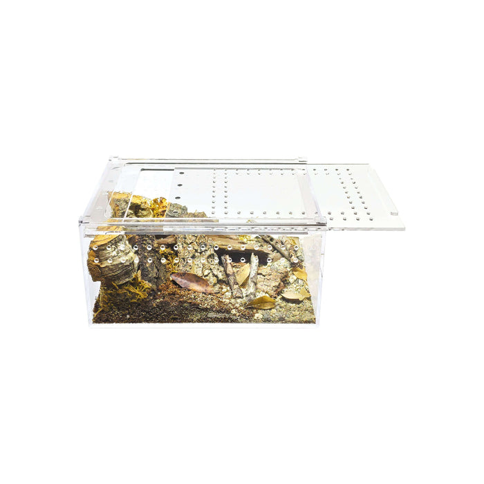 YKL10B HerpCult Acrylic Terrarium Enclosure with Magnetic Lid Small Flat (8" x 6" x 4"):Jungle Bob's Reptile World