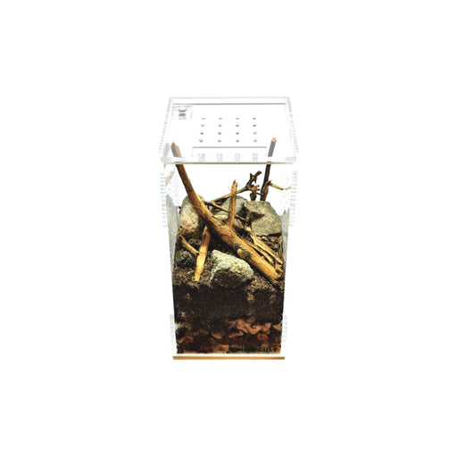 YKL15 HerpCult Acrylic Terrarium Enclosure with Magnetic Closure Mini Tall (3" x 3" x 6"):Jungle Bob's Reptile World