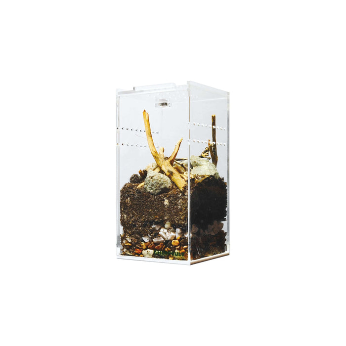 YKL15 HerpCult Acrylic Terrarium Enclosure with Magnetic Closure Mini Tall (3" x 3" x 6"):Jungle Bob's Reptile World