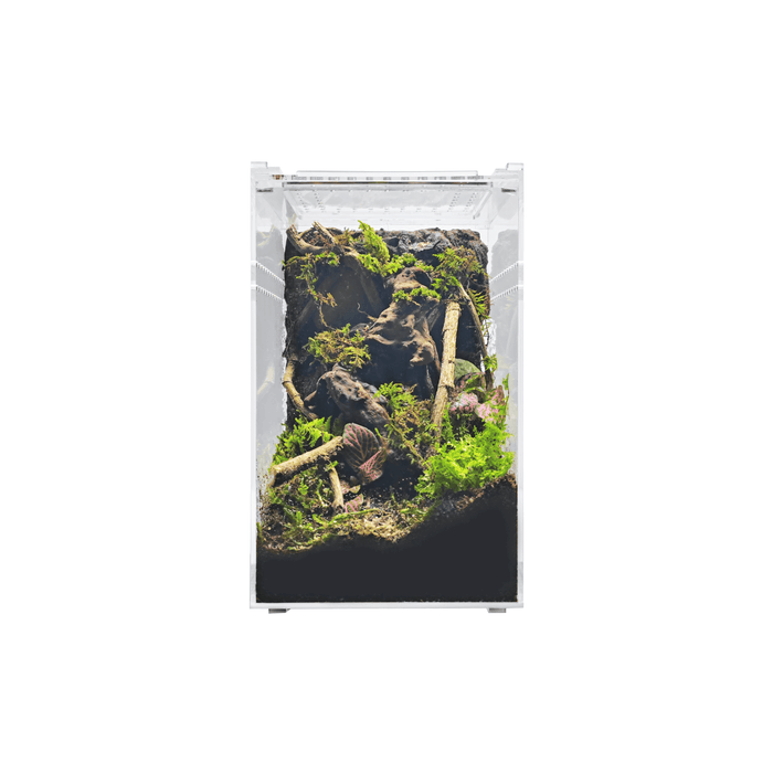 YKL18B HerpCult Acrylic Terrarium Enclosure with Magnetic Lid for Reptiles Small Tall (6" x 6" x 9.5"):Jungle Bob's Reptile World