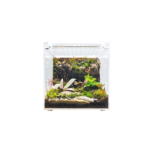 YKL20A HerpCult Acrylic Terrarium Enclosure with Magnetic Lid Enclosure for Reptiles Medium Flat(8" x 6" x 6"):Jungle Bob's Reptile World