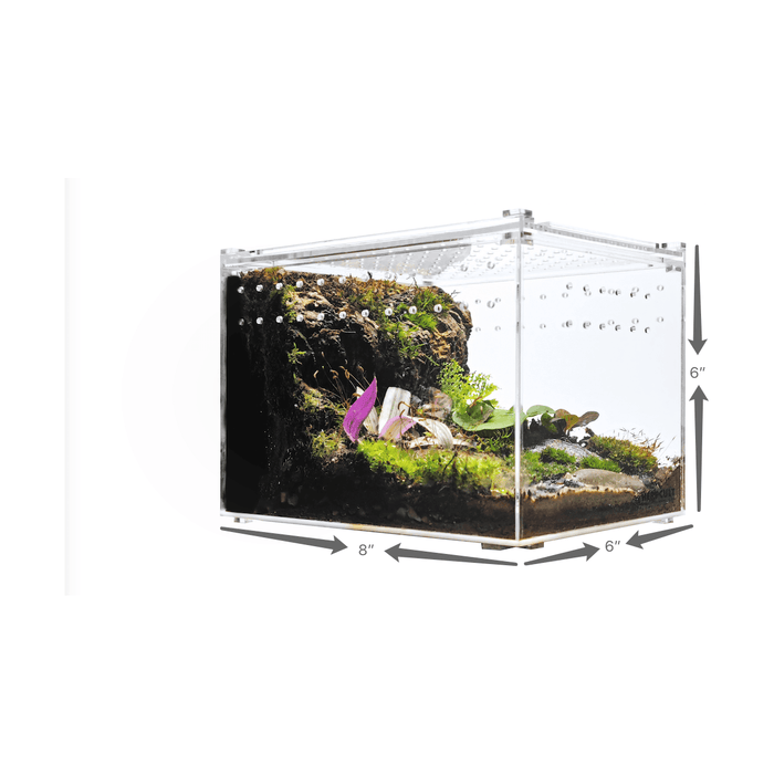 YKL20A HerpCult Acrylic Terrarium Enclosure with Magnetic Lid Enclosure for Reptiles Medium Flat(8" x 6" x 6"):Jungle Bob's Reptile World