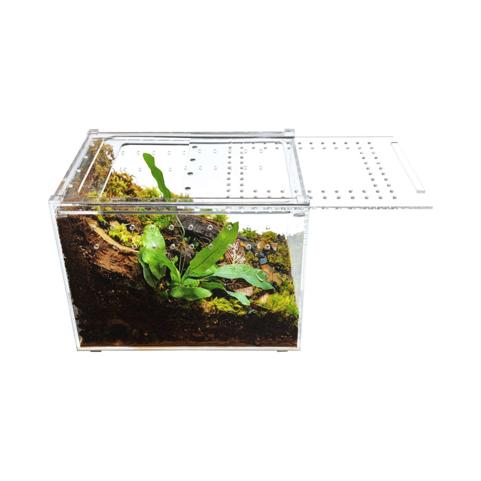 YKL20B HerpCult Acrylic Reptile Enclosure with Magnetic Lid for Reptiles Medium Flat:Jungle Bob's Reptile World