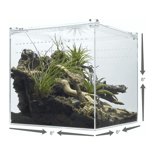 YKL22B HerpCult Magnetic Lid Acrylic Enclosure Medium 8"x8"x8":Jungle Bob's Reptile World