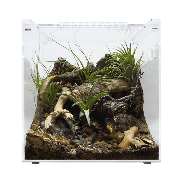 YKL22B HerpCult Magnetic Lid Acrylic Enclosure Medium 8"x8"x8":Jungle Bob's Reptile World