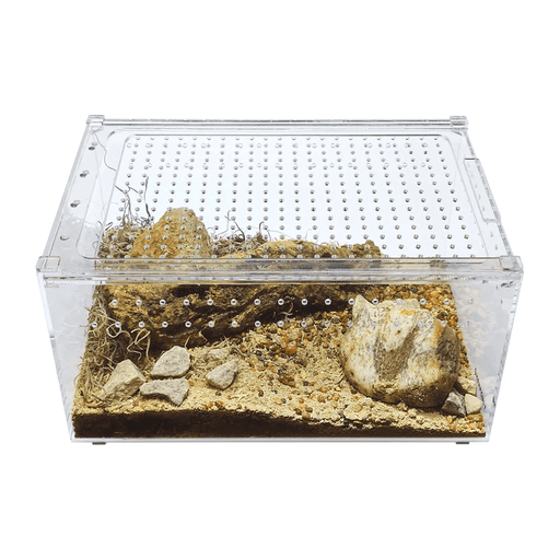YKL25A HerpCult Large Flat Acrylic Enclosure with Magnetic Lid for Reptiles 12" x 8" x 6":Jungle Bob's Reptile World