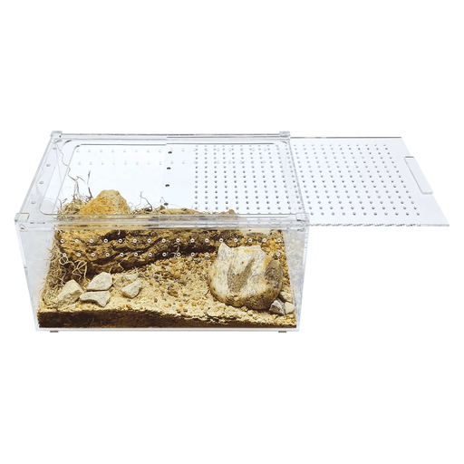 YKL25A HerpCult Large Flat Acrylic Enclosure with Magnetic Lid for Reptiles 12" x 8" x 6":Jungle Bob's Reptile World