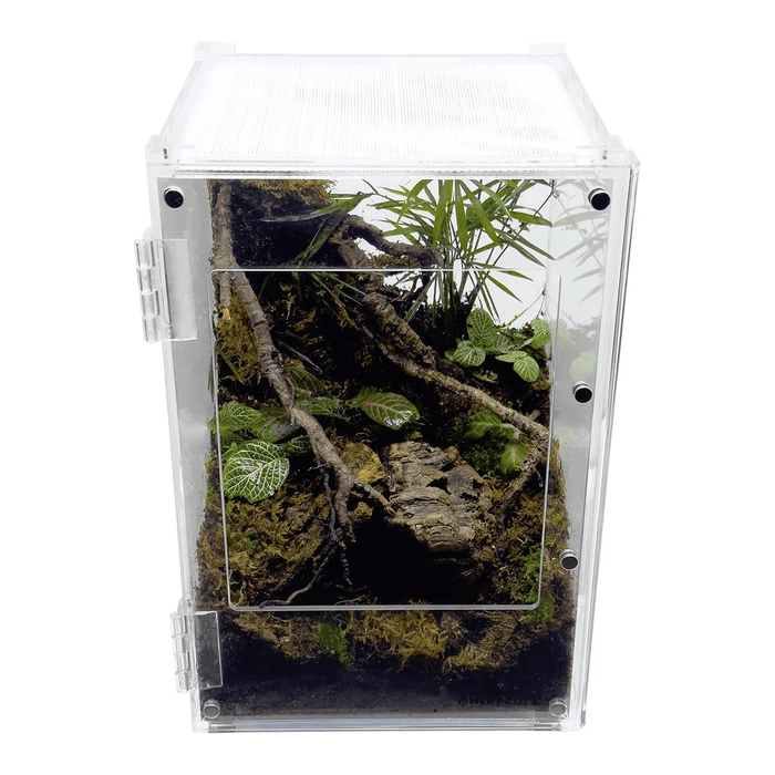 YKL38B-1 HerpCult Acrylic Enclosure Front-Opening Small  8"x8"x12" 3.3 Gallon:Jungle Bob's Reptile World