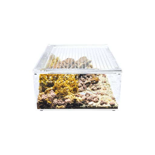 YKL40A HerpCult Acrylic Enclosure with Magnetic Lid for Reptiles Herpcult Extra Large Flat (12" x 16" x 6"):Jungle Bob's Reptile World