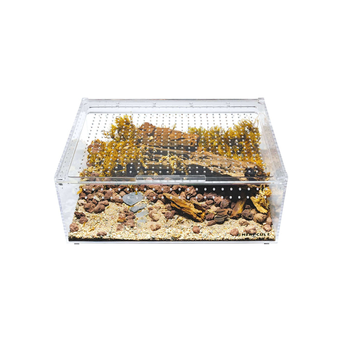 YKL40A HerpCult Acrylic Enclosure with Magnetic Lid for Reptiles Herpcult Extra Large Flat (12" x 16" x 6"):Jungle Bob's Reptile World