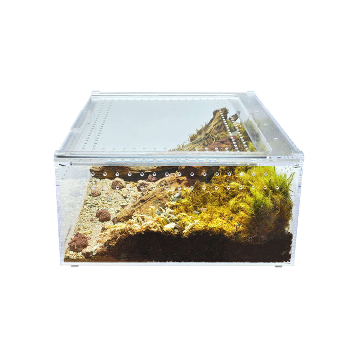 YKL40B HerpCult Acrylic Reptile Enclosure with Magnetic Lid Clear Top Extra Large Flat (12" x 16" x 6"):Jungle Bob's Reptile World